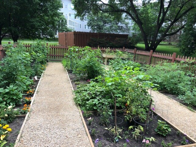 Vegetable Garden by Presbyterian Homes : A Healing Sanctuary and Food Source